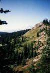 Goat Rocks Wilderness, looking at Mt. Rainier