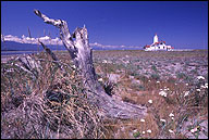 Near Port Angeles Red Lion Hotel