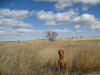 Big Sky country