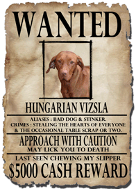 WANTED!